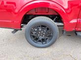 Thumbnail of 2025 Rapid Red Metallic Tinted Clearcoat Ford F-150