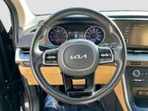 Thumbnail of 2023 Panthera Metal Kia Carnival