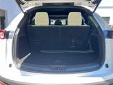 Thumbnail of 2019 Snowflake White Pearl Mica Mazda CX-9