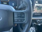 Thumbnail of 2025 Black Metallic Ford F-150