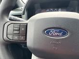 Thumbnail of 2025 Gray Ford F-150