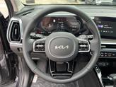 Thumbnail of 2025 Panthera Metal Kia Sorento
