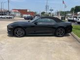 Thumbnail of 2023 Shadow Black Ford Mustang