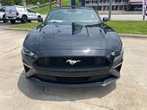 Thumbnail of 2023 Shadow Black Ford Mustang