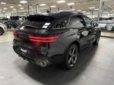 Thumbnail of 2022 Vik Black Genesis GV70