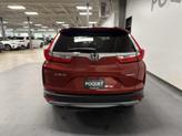 Thumbnail of 2018 Molten Lava Pearl Honda CR-V