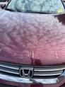 Thumbnail of 2013 Basque Red Pearl II Honda Accord
