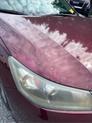 Thumbnail of 2013 Basque Red Pearl II Honda Accord