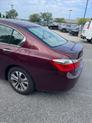 Thumbnail of 2013 Basque Red Pearl II Honda Accord