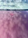 Thumbnail of 2013 Basque Red Pearl II Honda Accord
