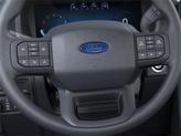 Thumbnail of 2025 AGATE BLACK METALLIC Ford F-150