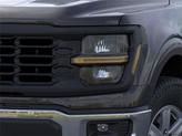 Thumbnail of 2025 AGATE BLACK METALLIC Ford F-150