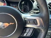 Thumbnail of 2022 RAPID RED MET TINTED CC Ford Mustang