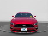 Thumbnail of 2022 RAPID RED MET TINTED CC Ford Mustang