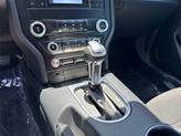 Thumbnail of 2022 RAPID RED MET TINTED CC Ford Mustang