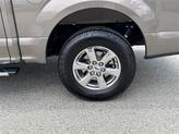 Thumbnail of 2019 STONE GRAY Ford F-150