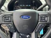 Thumbnail of 2019 STONE GRAY Ford F-150
