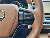 Thumbnail of 2024 Polar Surge Satin Lexus LC 500