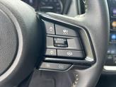 Thumbnail of 2025 Magnetite Gray Metallic Subaru Crosstrek
