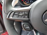 Thumbnail of 2024 Hot Tamale Dodge Hornet