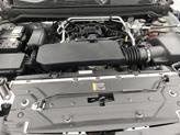 Thumbnail of 2023 White Chevrolet Colorado