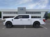 Thumbnail of 2025 White Ford F-150