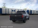 Thumbnail of 2025 Black Ford F-150