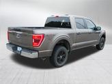 Thumbnail of 2023 Stone Gray Metallic Ford F-150