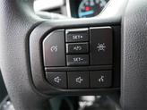 Thumbnail of 2023 Stone Gray Metallic Ford F-150