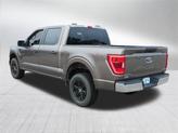 Thumbnail of 2023 Stone Gray Metallic Ford F-150