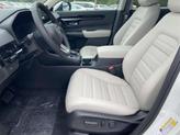 Thumbnail of 2026 Platinum White Pearl Honda CR-V