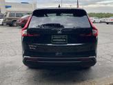 Thumbnail of 2026 Black Honda CR-V