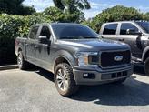 Thumbnail of 2019 MAGNETIC Ford F-150