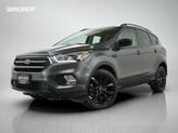 Photo of 2019 Magnetic Ford Escape