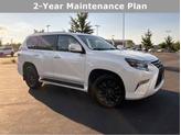 Photo of 2021 Starfire Pearl Lexus GX 460