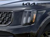 Thumbnail of 2025 Ebony Black Kia Telluride