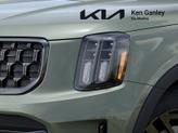 Thumbnail of 2025 Jungle Green Kia Telluride
