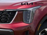 Thumbnail of 2025 Red Kia Sorento