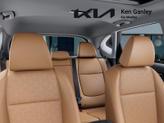 Thumbnail of 2025 Gravity Gray Kia Seltos