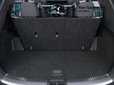 Thumbnail of 2025 Jungle Green Kia Telluride