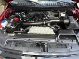 Thumbnail of 2022 RAPID RED MET TINTED CC Ford Expedition Max