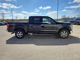 Thumbnail of 2016 Shadow Black Ford F-150