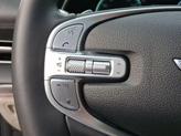 Thumbnail of 2023 Vik Black Genesis GV80