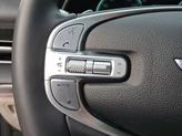 Thumbnail of 2023 Vik Black Genesis GV80
