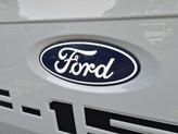 Thumbnail of 2024 Avalanche Gray Ford F-150