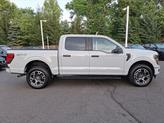 Thumbnail of 2024 Avalanche Gray Ford F-150