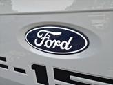 Thumbnail of 2024 Avalanche Gray Ford F-150