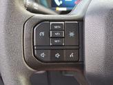 Thumbnail of 2024 Avalanche Gray Ford F-150