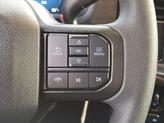 Thumbnail of 2024 Avalanche Gray Ford F-150