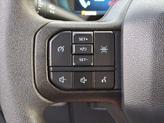 Thumbnail of 2024 Avalanche Gray Ford F-150